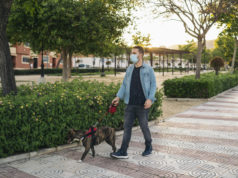 https://www.freepik.com/premium-photo/young-man-medical-mask-walking-park-with-his-dog_8305047.htm#page=2&query=covid+walk+dog&position=43