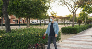 https://www.freepik.com/premium-photo/young-man-medical-mask-walking-park-with-his-dog_8305047.htm#page=2&query=covid+walk+dog&position=43
