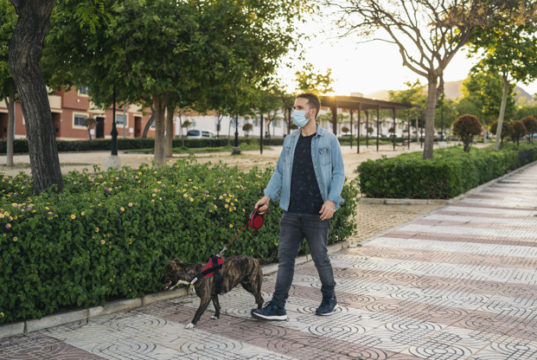 https://www.freepik.com/premium-photo/young-man-medical-mask-walking-park-with-his-dog_8305047.htm#page=2&query=covid+walk+dog&position=43