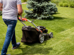 https://www.freepik.com/premium-photo/gardener-mowing-lawn-landscape-design-green-grass-background_9073360.htm