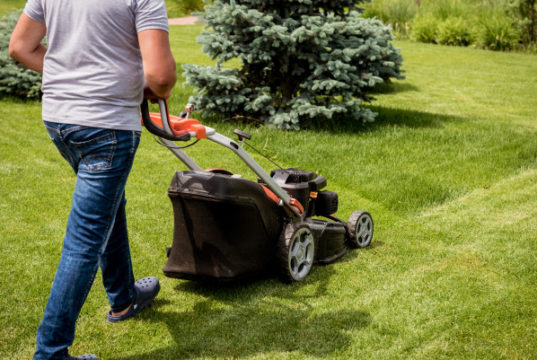 https://www.freepik.com/premium-photo/gardener-mowing-lawn-landscape-design-green-grass-background_9073360.htm