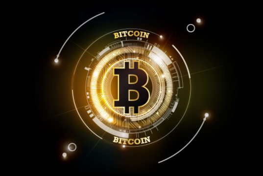https://www.freepik.com/premium-vector/golden-bitcoin-digital-currency-futuristic-digital-money-technology-worldwide-network-concept-illustration_7483158.htm#page=1&query=bitcoins&position=25