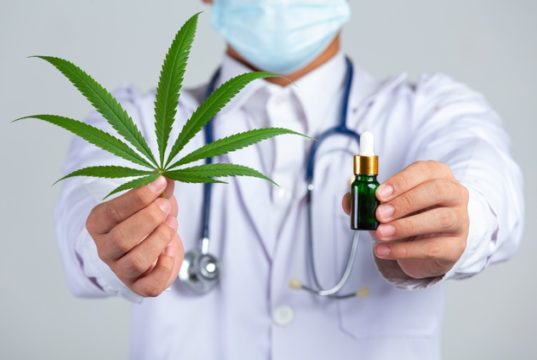 https://www.freepik.com/free-photo/medical-doctor-holding-cannabis-leaf-bottle-cannabis-oil-white-wall_10401487.htm#page=1&query=medical%20marijuana&position=40
