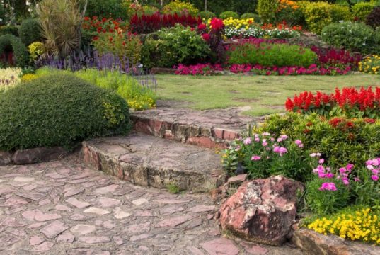 https://www.freepik.com/free-photo/colorful-flower-garden_1273869.htm#page=1&query=garden&position=16