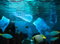 https://www.freepik.com/premium-photo/environmental-pollution-plastic-water-bottle-ocean_4676776.htm#page=1&query=ocean%20pollution&position=15