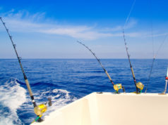 https://www.freepik.com/premium-photo/boat-fishing-trolling-deep-blue-sea_5118316.htm#page=1&query=fishing%20charter&position=10