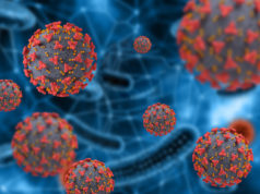 https://www.freepik.com/free-photo/coronavirus-cells-floating_8722211.htm