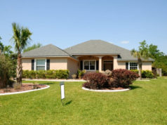https://www.peakpx.com/471256/green-grass-lawn