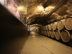 https://www.freepik.com/premium-photo/row-old-barrels-aging-wine-cellar_8310053.htm#page=1&query=portugal%20winery&position=0