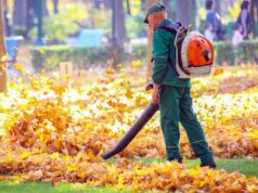 https://www.freepik.com/premium-photo/working-park-removes-autumn-leaves-with-blower_11716187.htm#page=1&query=leaf%20blower&position=2