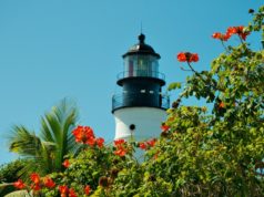 https://www.freepik.com/free-photo/lighthouse-florida-tropics-key-nature-west_668572.htm#page=1&query=key+west&position=8