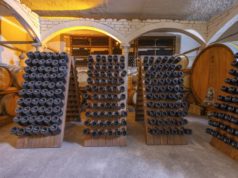https://www.freepik.com/premium-photo/wine-cellar-with-barrels-bottles_11902689.htm
