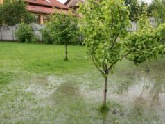 The Most Common Summer Plumbing Problems