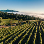 Mt. Brave Vineyard Aerial 5 (1)