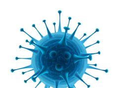 https://www.freepik.com/premium-vector/common-human-virus-bacteria-close-up-isolated-white-background_10778211.htm#page=2&query=common+virus&position=5