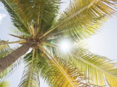 https://unsplash.com/photos/70fvTEcgcaM