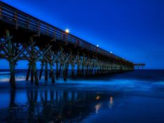https://pixabay.com/photos/myrtle-beach-south-carolina-america-4015466/