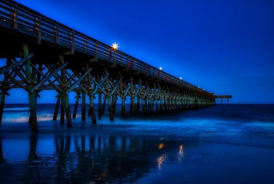 https://pixabay.com/photos/myrtle-beach-south-carolina-america-4015466/