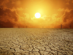 https://www.freepik.com/premium-photo/barren-land-background-due-climate-change_8621382.htm#page=2&query=climate&position=10