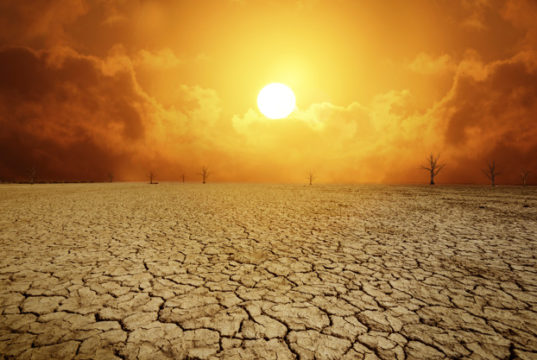 https://www.freepik.com/premium-photo/barren-land-background-due-climate-change_8621382.htm#page=2&query=climate&position=10