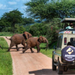 southfloridareporter.com Image