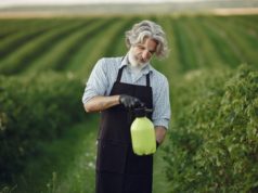 https://www.freepik.com/free-photo/farmer-spraying-vegetables-garden-with-herbicides-man-black-apron_10065452.htm#page=5&query=pest+control&position=38