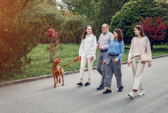 https://www.freepik.com/free-photo/elegant-family-spend-time-summer-park_5252709.htm#page=2&query=family%20walking&position=2