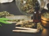 Best Times to Find Cannabis Deals in Philadelphia for Medical & Recreational Shoppers https://www.freepik.com/free-photo/marijuana-buds-with-marijuana-joints-cannabis-oil_7365453.htm?query=packaged%20marijuana