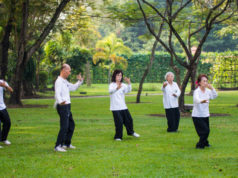 https://www.freepik.com/premium-photo/people-practising-tai-chi-park_3375926.htm#page=1&query=tai%20chi&position=14