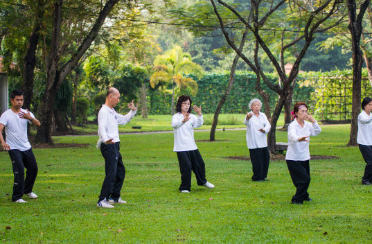 https://www.freepik.com/premium-photo/people-practising-tai-chi-park_3375926.htm#page=1&query=tai%20chi&position=14