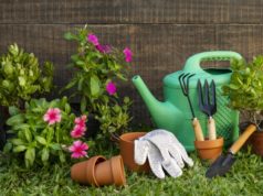https://www.freepik.com/free-photo/plants-pot-with-watering-can_13238967.htm#page=2&query=gardening&position=49