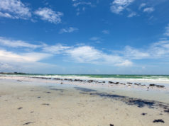 https://www.storyblocks.com/images/stock/siesta-key-beach-is-located-on-the-gulf-coast-of-sarasota-florida-with-powdery-sand-rftl9nfarjiskk3ufr