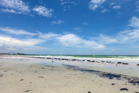 https://www.storyblocks.com/images/stock/siesta-key-beach-is-located-on-the-gulf-coast-of-sarasota-florida-with-powdery-sand-rftl9nfarjiskk3ufr