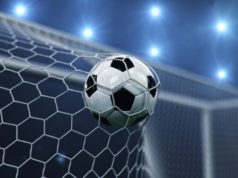 https://www.freepik.com/premium-photo/soccer-ball-flew-into-goal_10238614.htm#page=4&query=soccer&position=32