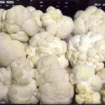 Lion’s mane mushrooms, SMF