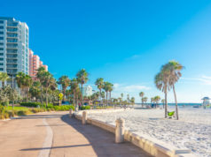 https://www.freepik.com/premium-photo/clearwater-beach-with-beautiful-white-sand-florida-usa_6108016.htm#page=1&query=florida%20beach&position=21