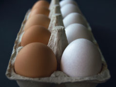 https://www.freepik.com/premium-photo/eggs-two-color-egg-tray-dark-background_16087221.htm#page=2&query=brown%20white%20eggs&position=8