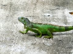 https://unsplash.com/photos/xNnD16R2YaM