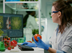 https://www.freepik.com/free-photo/pharmaceutical-chemist-examining-tomato-microbiology-experiment-typing-medical-information_16048482.htm#page=1&query=GMO&position=8
