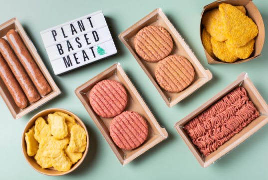 https://www.freepik.com/premium-photo/variety-plant-based-meat-food-reduce-carbon-footprint_17374206.htm?query=plant%20based%20burger