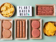 https://www.freepik.com/premium-photo/variety-plant-based-meat-food-reduce-carbon-footprint_16425488.htm#page=1&query=meatless%20burger&position=7