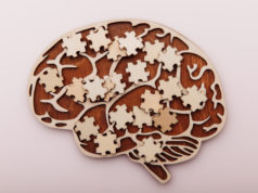 https://www.freepik.com/premium-photo/wooden-brain-puzzles-mental-health-problems-with-memory_14168872.htm?query=alzheimers