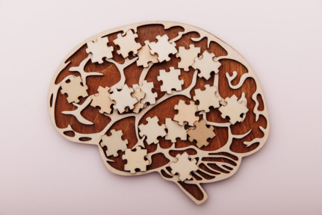 wooden-brain-puzzles-mental-health-problems-with-memory https://www.freepik.com/premium-photo/wooden-brain-puzzles-mental-health-problems-with-memory_14168872.htm?query=alzheimers