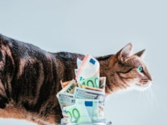 https://www.freepik.com/premium-photo/cat-posing-background-piggy-bank-concept-expenses-maintenance-thoroughbred-breeds-pets-mixed-media_18052604.htm?query=pet%20investments