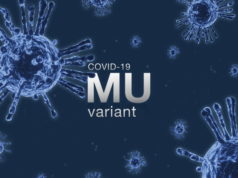 https://www.freepik.com/premium-photo/coronavirus-2019-ncov-novel-coronavirus-concept-microscope-virus-close-up-mu-variant-3d-rendering_18170933.htm#page=1&query=covid%20variant&position=34