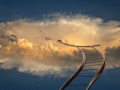https://pixabay.com/photos/ladder-beyond-clouds-heaven-2748333/