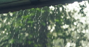 https://www.freepik.com/free-photo/rain-outside-windows-villa_2441313.htm#page=1&query=rain&position=9