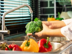 https://www.freepik.com/premium-photo/woman-hands-washing-vegetables-preparation-vegan-salad_12597447.htm#page=1&query=wash%20veggies&position=5
