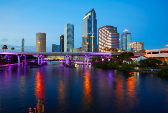 https://www.freepik.com/premium-photo/florida-tampa-skyline-sunset-us_3895365.htm