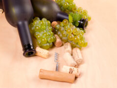 Asset ID: SBI-300145873